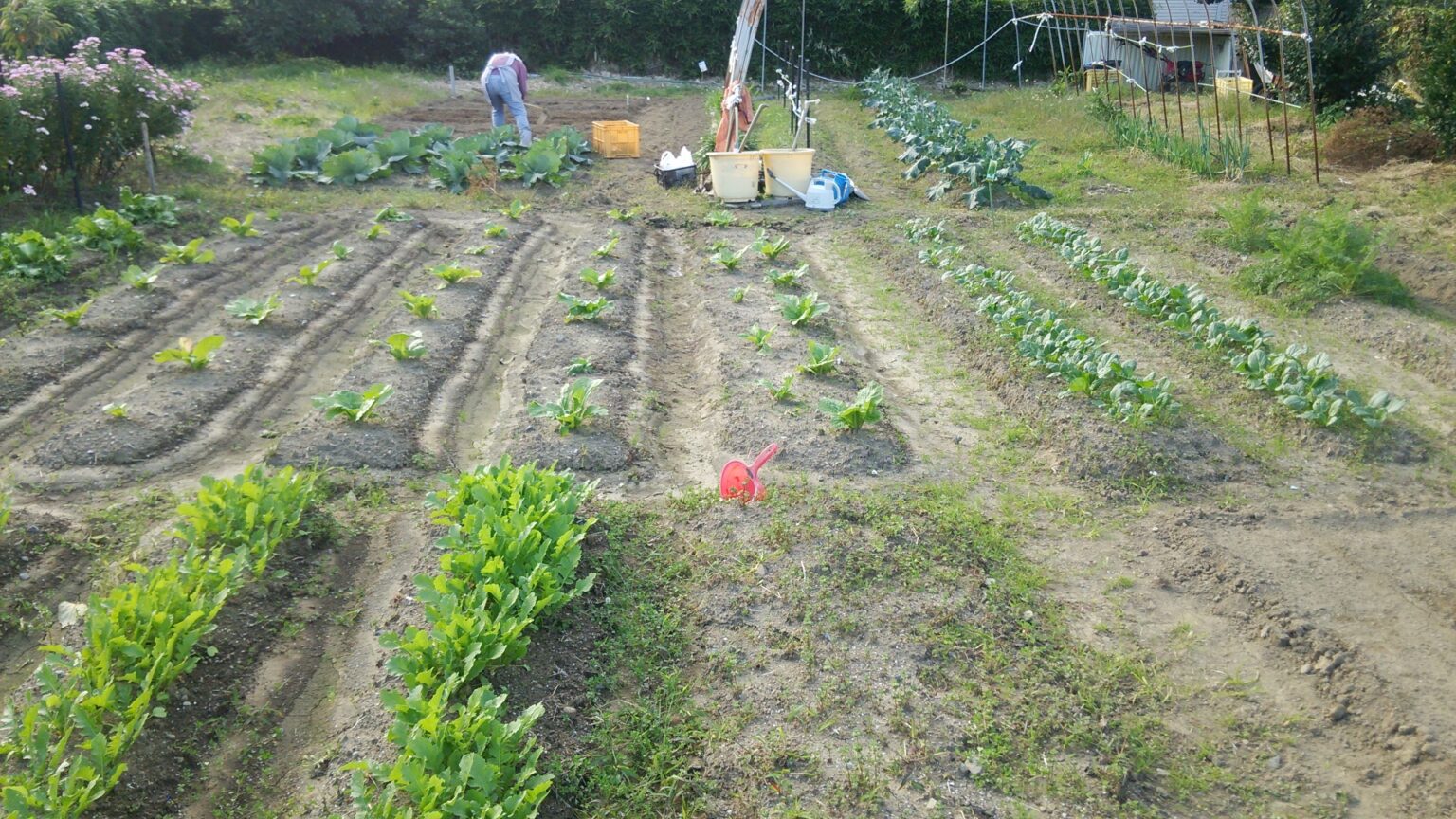 仕事しないで「田舎に暮らして自給自足」というライフスタイルで稼ぐ方法 悠々自適暮らしの手帖