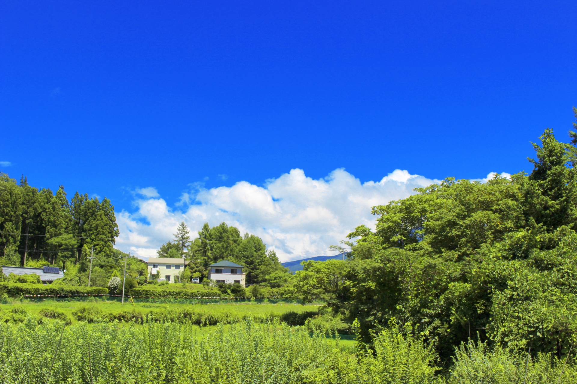 移住定住先探し 日本の代表的または知られざる別荘地一覧 田舎暮らしの手帖